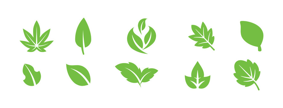 Green leaf icons set. Leaves icon on isolated background. Collection green leaf. Elements design for natural, eco, vegan, bio labels. Vector illustration EPS 10