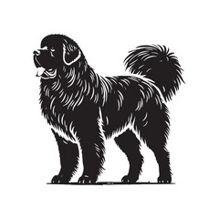 Artistic Newfoundland silhouette showcasing strength and elegance - Newfoundland illustration - minimal Newfoundland vector - dog silhouette
