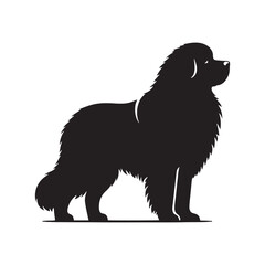 Newfoundland silhouette featuring sleek edges and strong posture - Newfoundland illustration - minimal Newfoundland vector - dog silhouette
