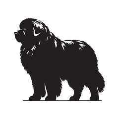 Newfoundland silhouette suitable for pet-themed graphic design - Newfoundland illustration - minimal Newfoundland vector - dog silhouette
