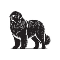 Newfoundland silhouette emphasizing size, grace, and soft features - Newfoundland illustration - minimal Newfoundland vector - dog silhouette
