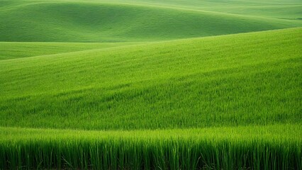 Greenfield Clear Sky Airplane Clouds