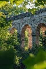 Fototapeta premium the stone aqueduct in Istanbul framed by tree branches, with the structure's ancient stonework