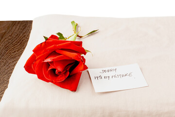 hopefully roses