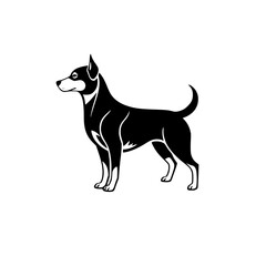 Black and white illustration of a Doberman Pinscher dog in a standing position on a white background.