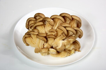 Oyster mushrooms, Fresh Pleurotus ostreatus isolated on a white background