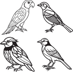 Obraz premium line art sparrow robin image 