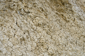 Dried earth reveals intricate patterns under the midday sun in a desolate landscape