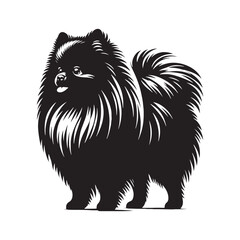 Pomeranian silhouette offering a premium and stylish presentation - Pomeranian illustration - minimal Pomeranian vector - dog silhouette
