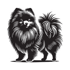 Creative Pomeranian silhouette crafted for unique pet graphics - Pomeranian illustration - minimal Pomeranian vector - dog silhouette

