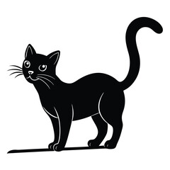 Obraz premium The cat should be standing on its hind legs or perched on a surface 