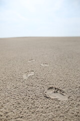 Footprints in the sand