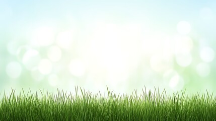 Obraz premium Green Grassy Landscape With Bokeh Background Spring or Summer Season Scene Natural Illustration