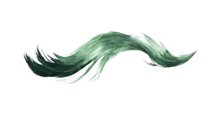 Green brush stroke creating a wavy shape on transparent background