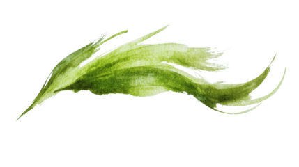 Watercolor green brush stroke creating a dynamic shape on transparent background