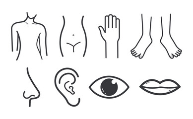 Bundle set outline icon body parts, stomach, hand, leg, nose, ear, eye, mouth