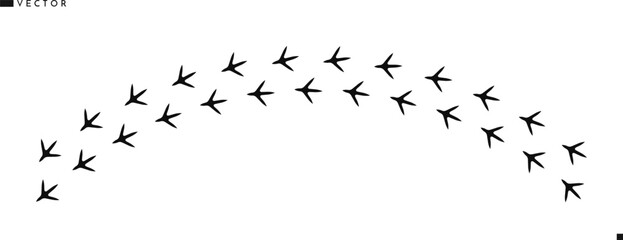 Rooster footprint silhouette. Chicken footprint vector illustration 