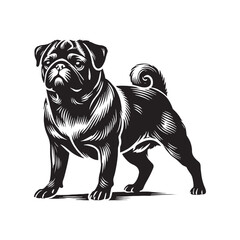 Simplistic Pug silhouette for branding and digital artwork - Pug illustration - minimal Pug vector - dog silhouette
