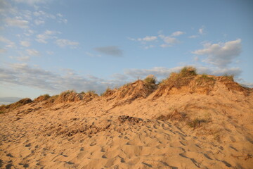 desert landscape with blue sky