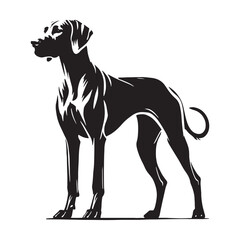 Obraz premium Exquisite Rhodesian Ridgeback silhouette for sleek and elegant designs - Rhodesian Ridgeback illustration - minimal Rhodesian Ridgeback vector - dog silhouette 