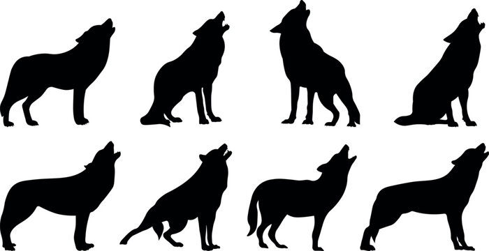 Silhouettes of wolves, coyotes and howling dogs. Isolated objects, vector illustration