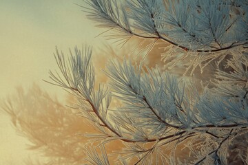 Frost-covered pine needles glisten in the soft morning light, creating a serene winter scene.