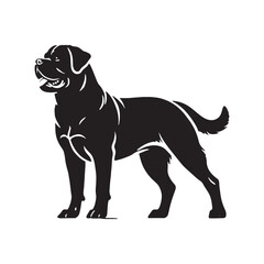 Well-defined Rottweiler silhouette with a commanding presence - Rottweiler illustration - minimal Rottweiler vector - dog silhouette
