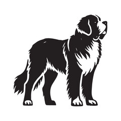 Simplified Saint Bernard silhouette for elegant and modern design - Saint Bernard illustration - minimal Saint Bernard vector - dog silhouette
