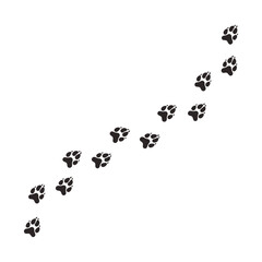 Dog paw prints, animal tracks, vector illustration