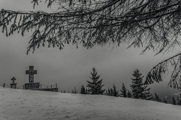 Landscapes - Forest - Europe, Romania, Suceava region