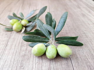 Natural fresh green olives on a branch with leaves on a wooden background