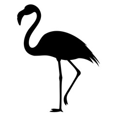 Silhouette of a black flamingo bird, flamingo bird vector illustration drawn isolated on a transparent background