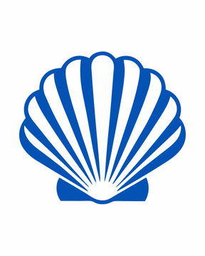 vector illustration of shell