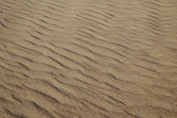Sand desert background and texture	