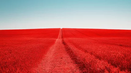 Fototapeten Striking red landscape with a winding path to the horizon © SUPHAKPHEN