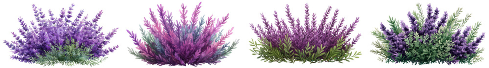 Vibrant lavender field with blooming purple flowers swaying in the breeze creating a serene and calming natural landscape in the countryside