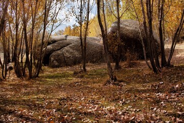  A view of an autumn landscape in a mountainous forest area