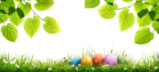 A collection of painted easter eggs under bright green tree leaves celebrating a Happy Easter in spring with green short meadow grass against an isolated transparent background.