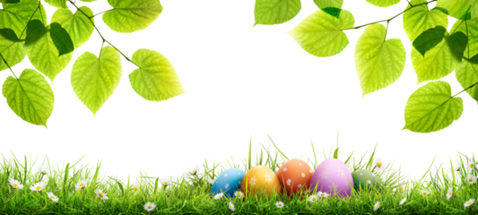 A collection of painted easter eggs under bright green tree leaves celebrating a Happy Easter in spring with green short meadow grass against an isolated transparent background.