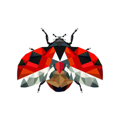 Polygonale Illustration eines fliegenden Marienk&auml;fers. Dynamisch und kunstvoll, perfekt f&uuml;r Naturdesigns und thematische Illustrationen.