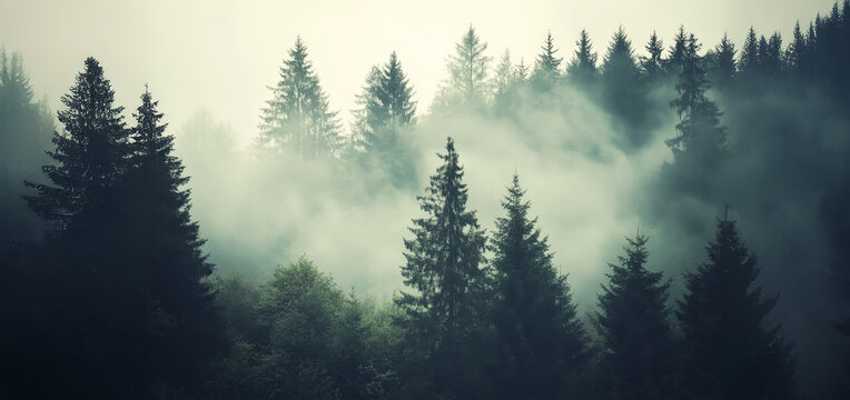 Misty landscape with mountains and dark moody fir forest in hipster vintage retro style - Powered by Adobe
