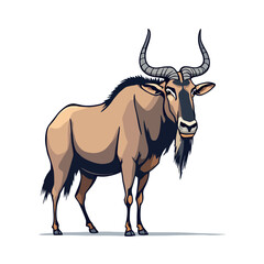 Vsai wildebeest standing and looking forward on white background