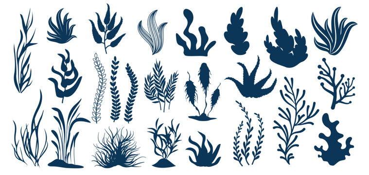 Seaweed silhouettes. Aquatic plants, underwater flora shapes of leaves and seaweeds for aquarium decoration. Marine plant isolated vector set.