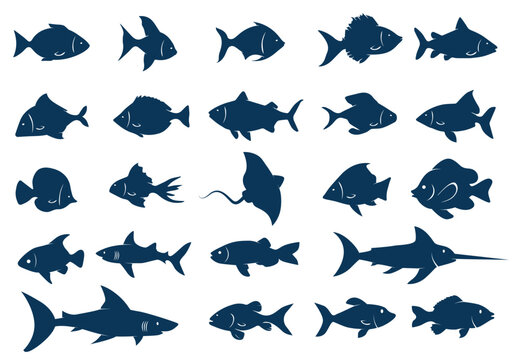 Stencil fishes. Ocean fish, sharks, batomorphi and tropical aquarium fish shape. Isolated underwater aquatic species silhouettes vector set.