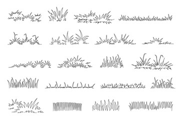 Linear grass doodle. Hand drawn lawn tufts, sketch greenery lines and natural fresh meadow decorative borders. Garden grass patches isolated vector set.