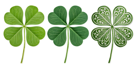 Four-Leaf Clover on White Background, Luck and Fortune Symbol, Green Clover Illustration, PNG Transparent