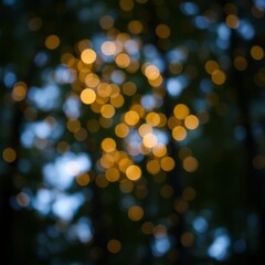 Blurred abstract photo of light burst among trees and glitter golden bokeh lights Bokeh light lights background bokeh abstract light bright effect shiny