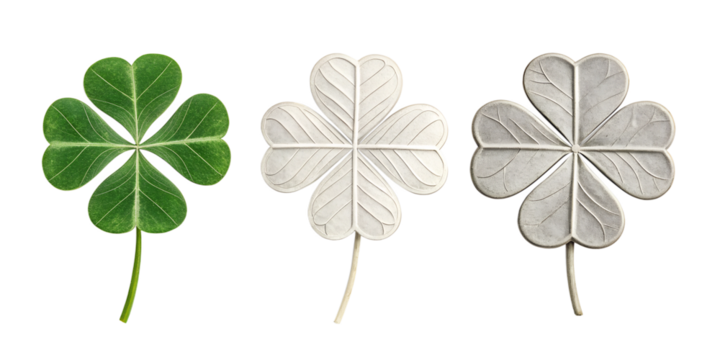 Four-Leaf Clover on White Background, Good Luck Symbol, Green Clover Design, Nature-Inspired, PNG Transparent
