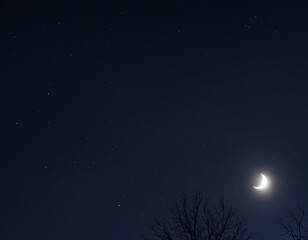 Night Skies
