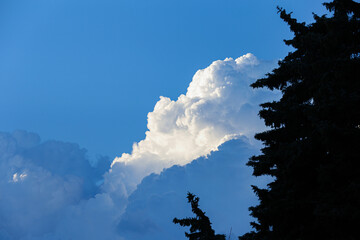 Blue sky with white clouds and silhouettes of coniferous trees.